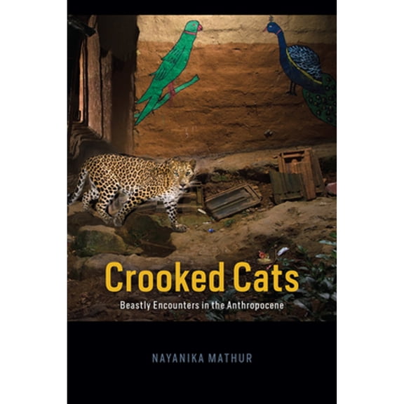 Pre-Owned Crooked Cats: Beastly Encounters in the Anthropocene (Hardcover 9780226771892) by Nayanika Mathur