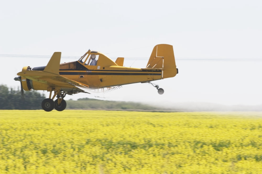 Crop Duster Spraying Flowering Canola Field Canvas Art - Michael Interisano Design Pics (19 x 12)