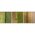 thumbnail image 1 of Crop Rows Triptych, 1 of 2