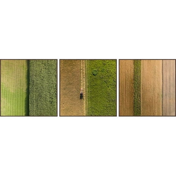 Crop Rows Triptych