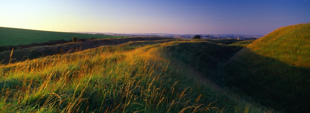 Crop in a field Shaftesbury Dorset England Canvas Art - Panoramic Images (27 x 9)