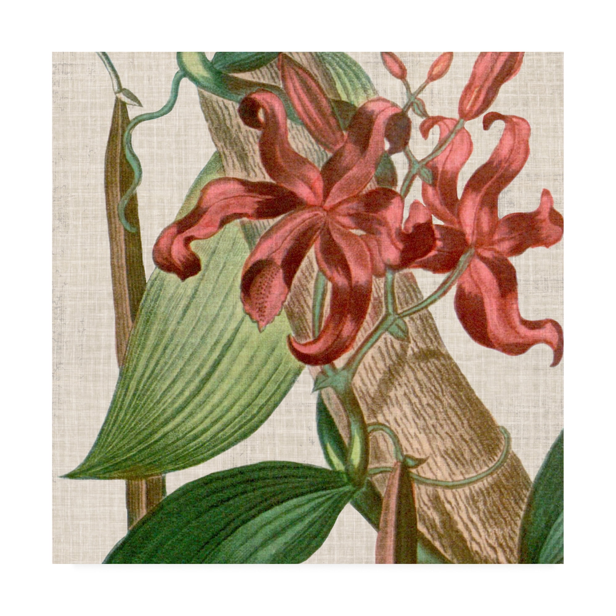 Cropped Turpin Tropicals IX' Canvas Art by Vision Studio