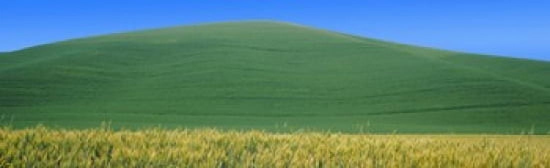Crops in fields Palouse Whitman County Washington State USA Canvas Art - Panoramic Images (15 x 5)