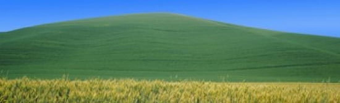 Crops in fields Palouse Whitman County Washington State USA Canvas Art - Panoramic Images (38 x 12)