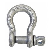Shackle,5/8 in.,10,000 lb.,Screw Pin 1017516