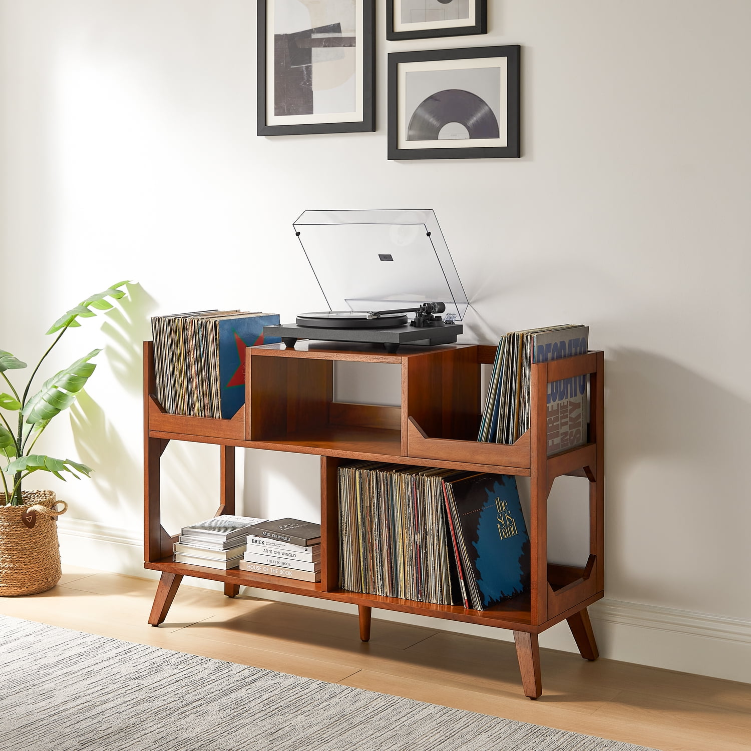 Asheville Walnut Mid-Century Modern Record Storage Console