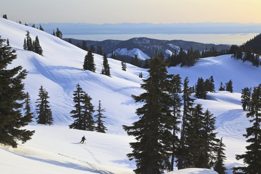 Cross-Country Skier Descends The Slope Below Mount Steel In Tetrahedron Provincial Park British Columbia Canada Canvas Art - Ron Watts Design Pics (38 x 24)