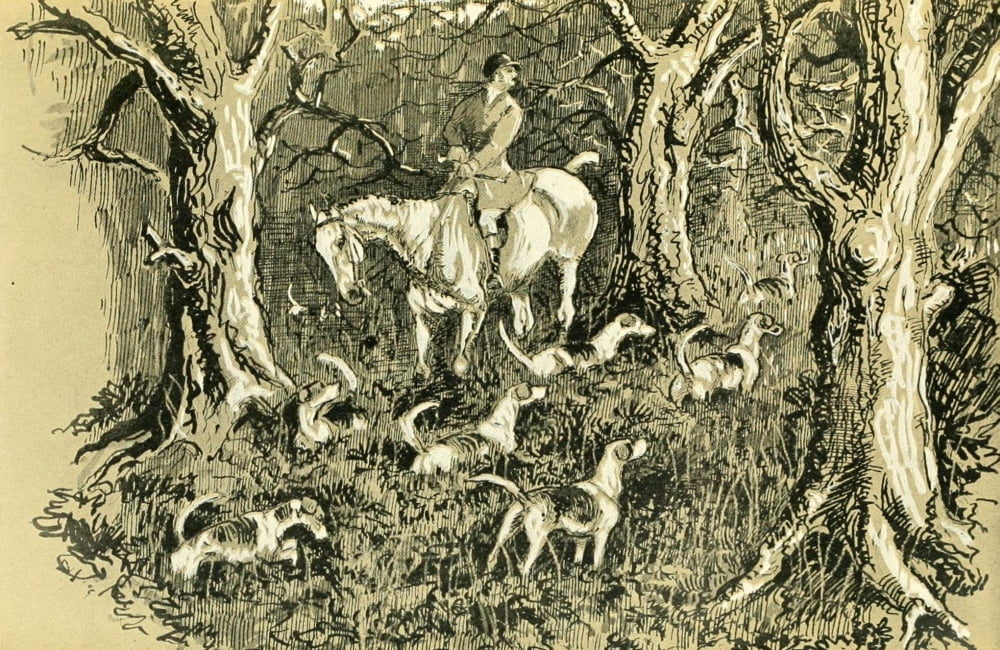 Cross Country with Horse & Hound 1902 Hark to bluebells Canvas Art - J Crawford Wood (18 x 24)