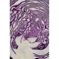 thumbnail image 1 of Cross Section Of A Red Cabbage; Calgary Alberta Canada Poster Print, 1 of 4
