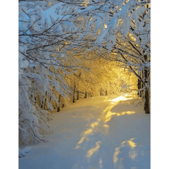 Cross Stitch Kit for Beginners, 11CT Cross-Stitch Kit Easy Patterns Needlepoint Kit Cross Stitching Embroidery Kit Winter snow scene 16x20 inch