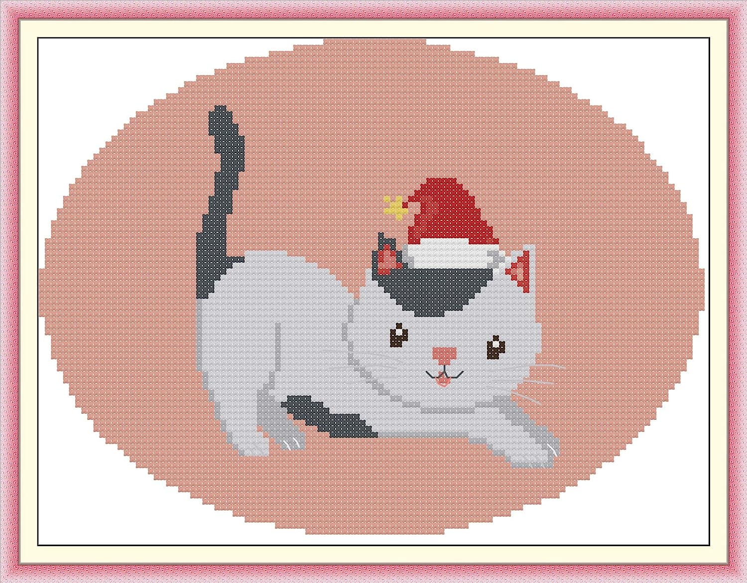 Cross Stitch Kits, 14CT Stamped Kits for Beginners, Needlepoint Kits