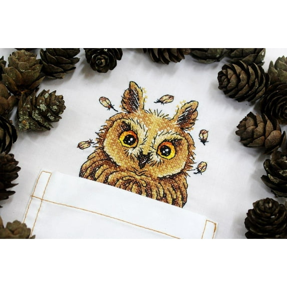 Cross Stitch on Clothes Curious Owl B-245 / SV-245