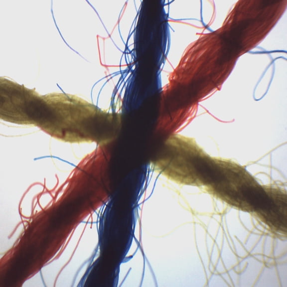Crossed, Colored Threads - Prepared Microscope Slide - Wholemount - 75 x 25mm - Introductory Microscopy - Eisco Labs