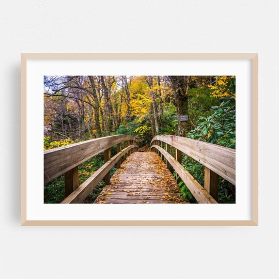 Crossing Tanawha - North Carolina Photography Autumn Bridge Nature Forest Scenic Landscape Woodland Oak Framed Wall Art Print 5 x 7 inches