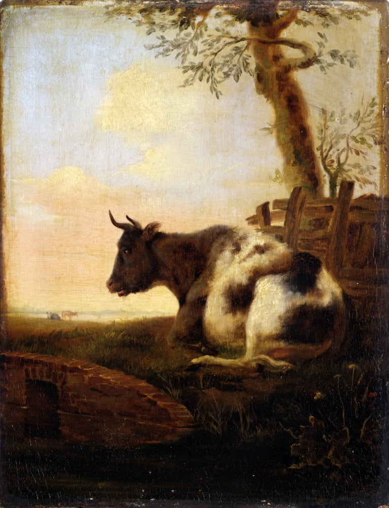 Crouching Cow Canvas Art - (24 x 36)