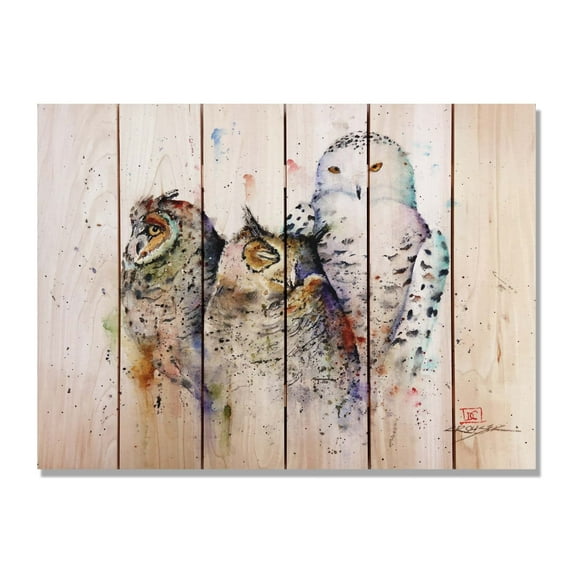 Crouser's Owl Trio 33x24 - Indoor/Outdoor Cedar Wall Art - Multi-color