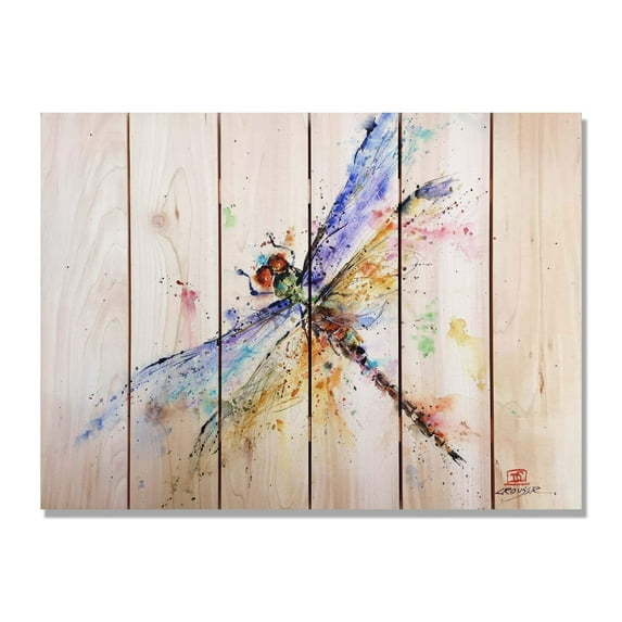 Crouser's Pond Dragonfly - 33x24 - Indoor/Outdoor Cedar Wall Art - Multi-color