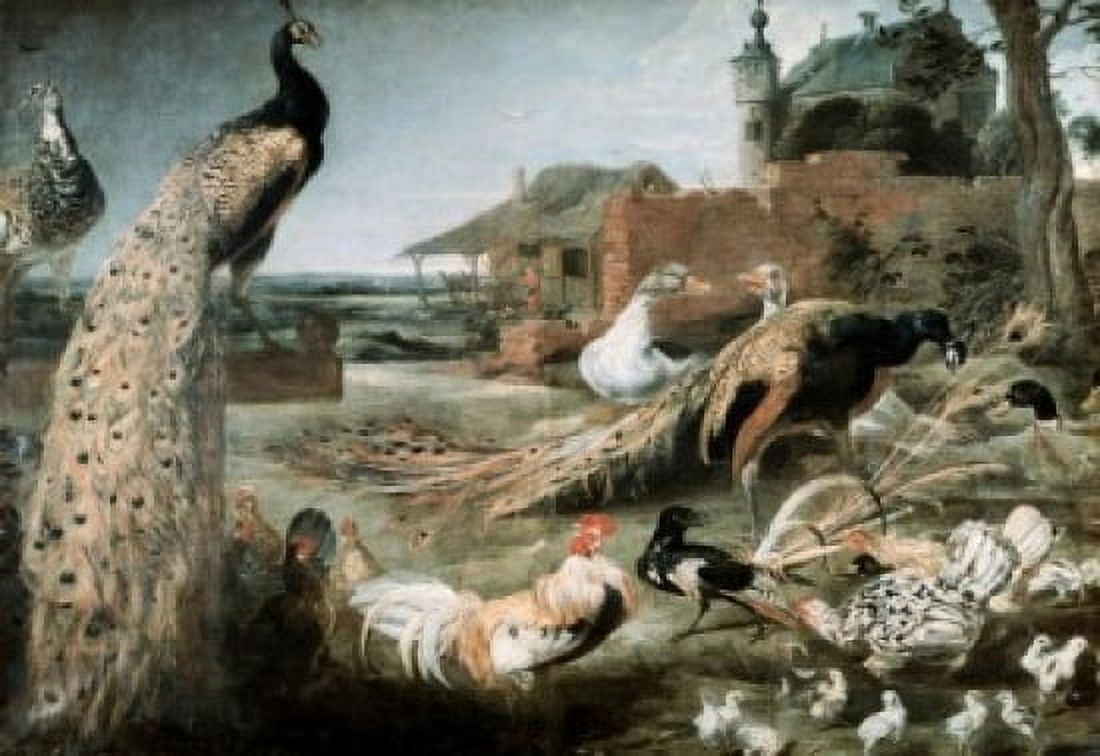 The Crow in Peacock Feathers Oil on Canvas Frans Snyders (1579-1657Flemish) Pushkin Museum of Fine Arts Moscow Canvas Art - Frans Snyders (18 x 24)