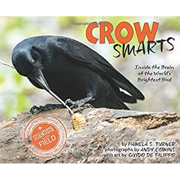 Pre-Owned Crow Smarts: Inside the Brain of the World's Brightest Bird (Hardcover) 0544416198 9780544416192