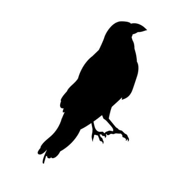 Crow Sticker Decal Die Cut - Self Adhesive Vinyl - Weatherproof - Made in USA - Many Color and Sizes - raven blackbird v1