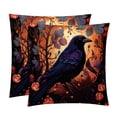 thumbnail image 1 of Crow Stunning Velvet Throw Pillow Covers with Unique Patterns - Set of 2, 16x16, 18x18, 20x20 Inches for Home Decor and Gifting, 1 of 6