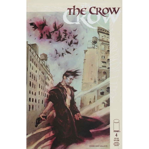 Crow, The (Image) #4 VF ; Image Comic Book