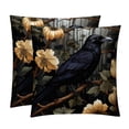 thumbnail image 1 of Crow Velvet Decorative Throw Pillow Inserts - Set of 2, Chair Pillow Covers - Unique Patterns, 16x16, 18x18, 20x20 Inches for Home Decor & More, 1 of 6