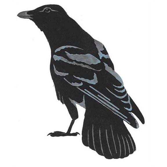 Crow Wall Stencil SKU #2961 by Designer Stencils