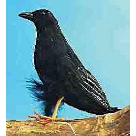 Crow (aka "Halloween Eagle") Halloween Accessory