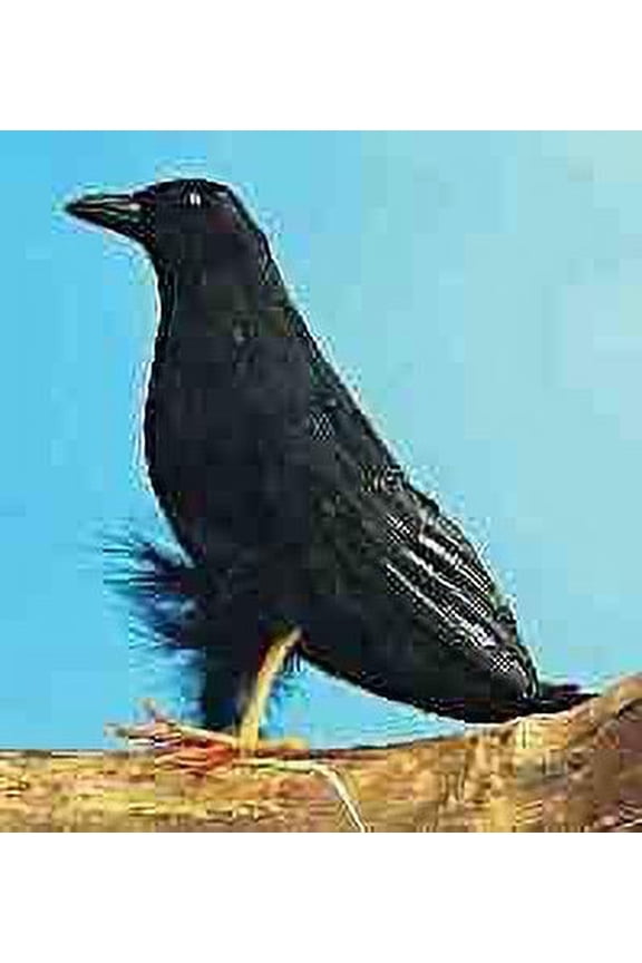 Crow (aka "Halloween Eagle") Halloween Accessory