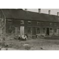 thumbnail image 1 of Crowded tenement used by cranberry pickers ("Bravas") or black Portuguese Poster Print (18 x 24), 1 of 3