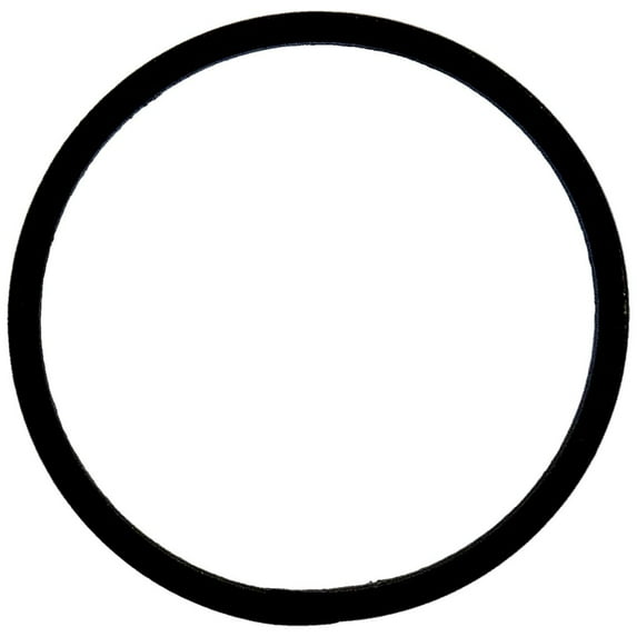 Crown Automotive 4446544 CAS4446544 ACCUMULATOR PISTON SEAL Fits select: 2002-2005 DODGE RAM 1500, 1999-2007 JEEP GRAND CHEROKEE