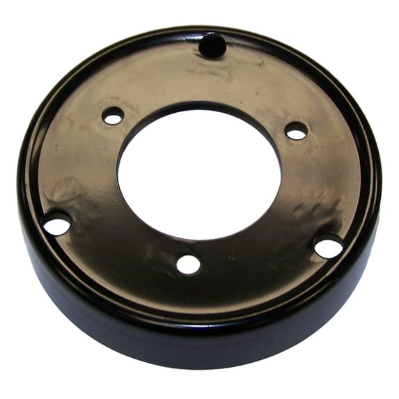 Crown Automotive 4573002 CAS4573002 93-97 LH CONCORDE/INTREPID/LHS/VISION WATER PUMP PULLEY Fits select: 1996-1997 CHRYSLER INTREPID, 1997 CHRYSLER CONCORDE