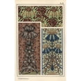 thumbnail image 1 of Crown Imperial Flower, Fritillaria Imperialisa Poster Print By ® Florilegius Mary Evans (24 X 36), 1 of 3