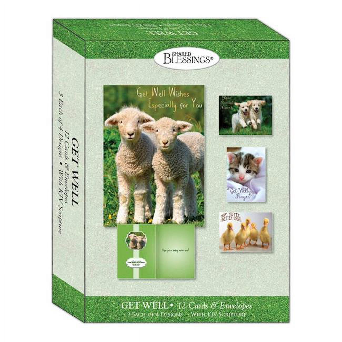 Fun Friends Boxed Assorted Get Well Cards