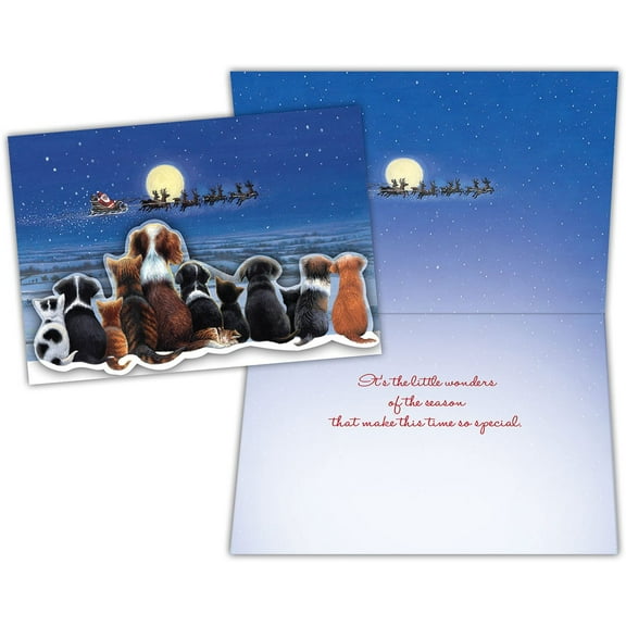 Card-Boxed-Christmas-Holy Light Nativity (Box Of 15)