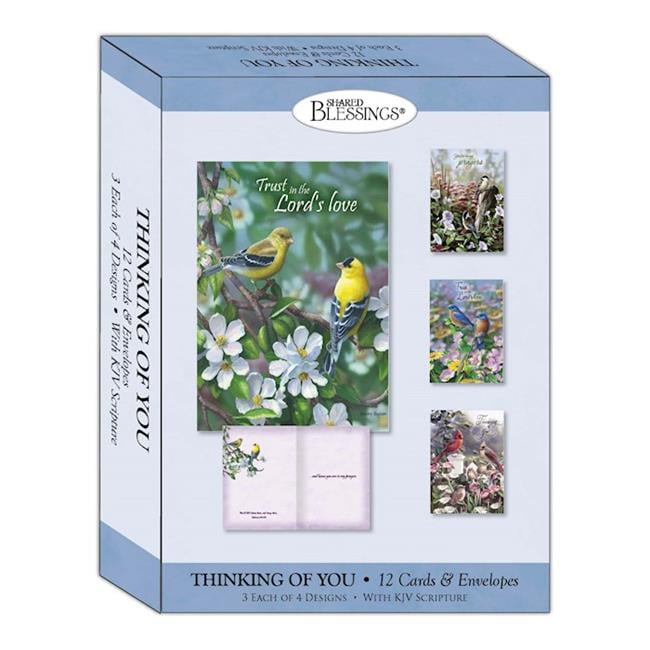 Crown Point Graphics Shared BlessingsThinking of YouSigns of Spring Boxed Card Pack of 12