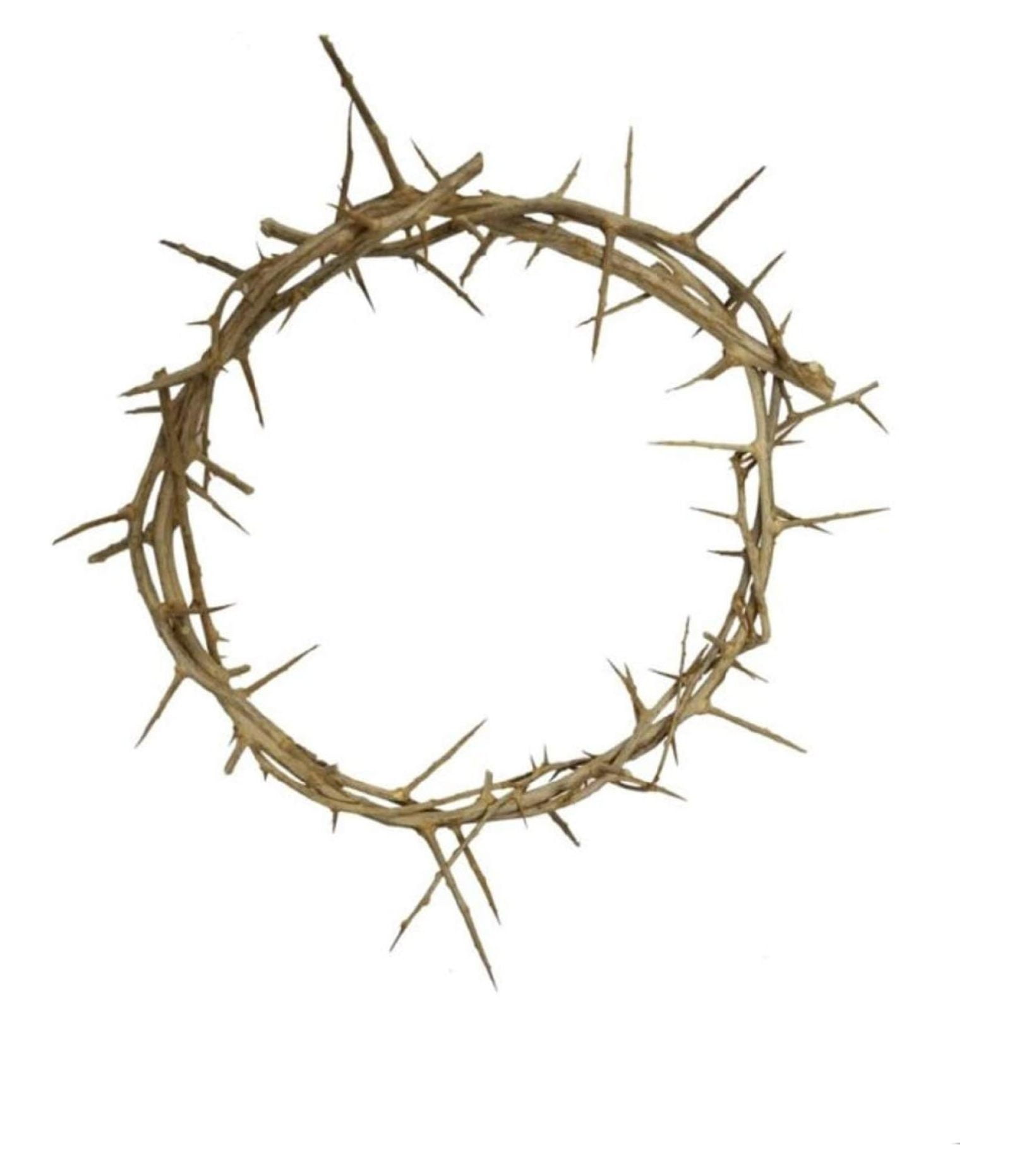 Crown of Thorns from Jerusalem Authentic Life Size (10-12