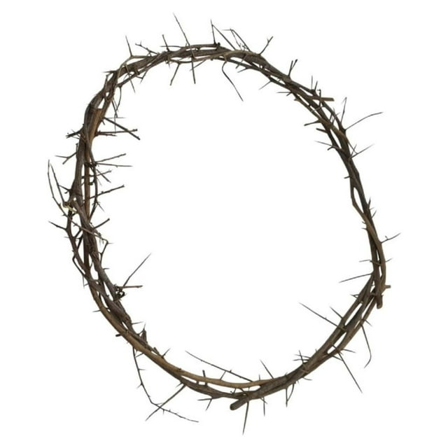 Crown of Thorns from Jerusalem Authentic Life Size (1314" Diameter