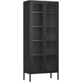 thumbnail image 1 of Crownland Metal Storage Cabinet with Glass Doors, Display Curio Glass Cabinet with 4 Adjustable Shelves, Tall Modern Office Storage Cabinet for Home Office, Living Room, Pantry(Black), 1 of 9