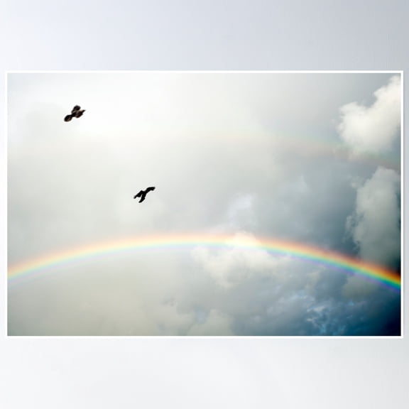Crows Flying In The Storm Winds Poster Wall Art, Modern Wall Decor, 16x24 UNFRAMED