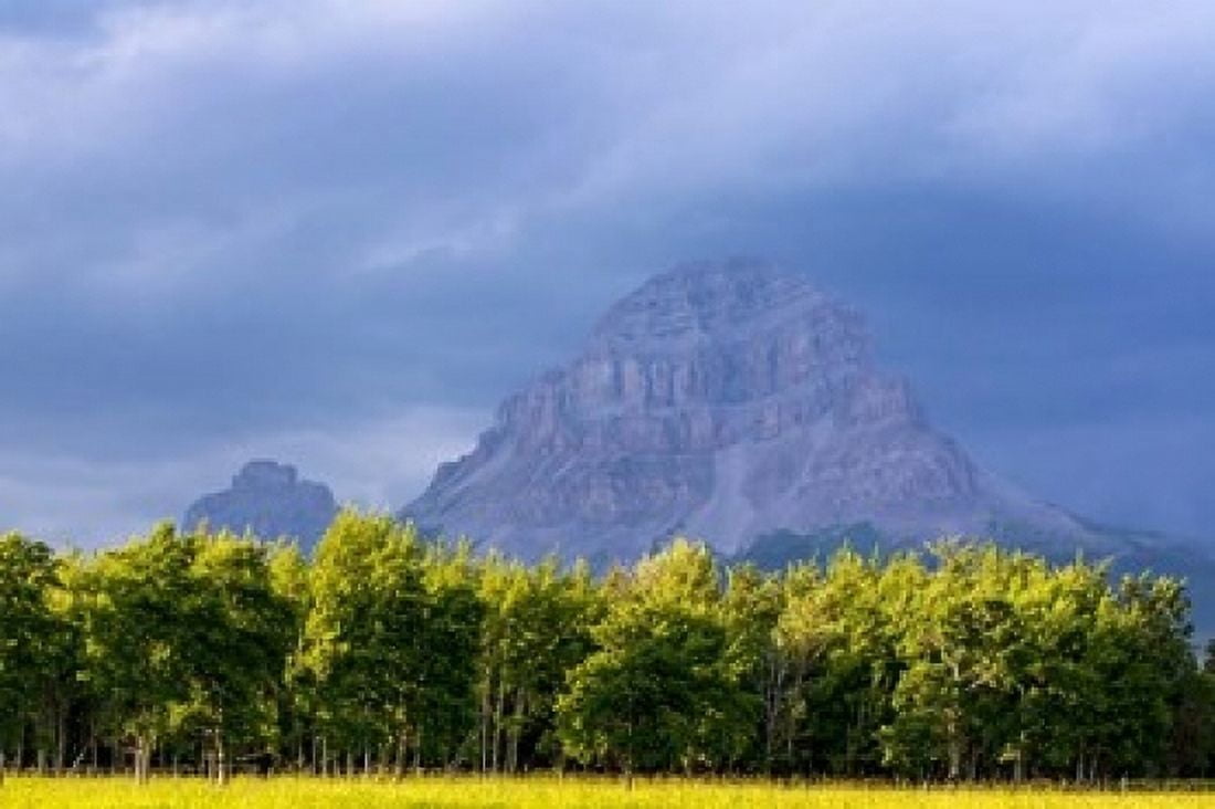 Crowsnest Mountain at Crownest Pass in Alberta Canada Canvas Art - Chuck Haney DanitaDelimont (36 x 24)