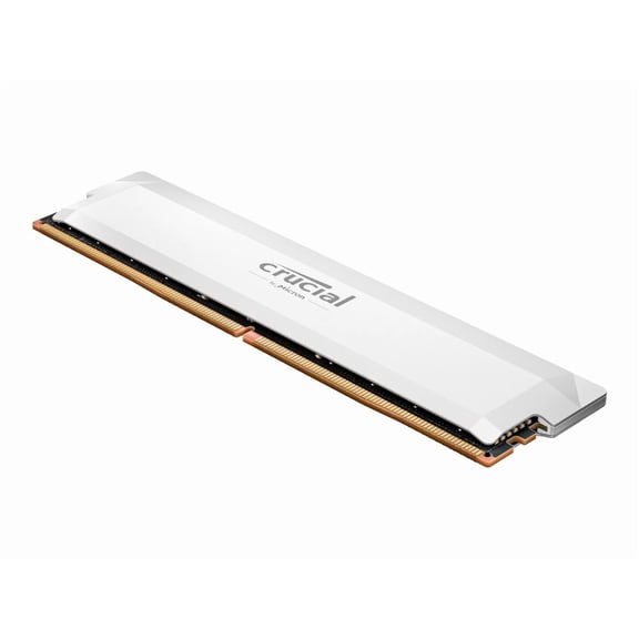 Crucial Pro OC - DDR5 - module - 32 GB - DIMM 288-pin - 3000 MHz / PC5-48000 - CL40 - 1.35 V - unbuffered - on-die ECC - white