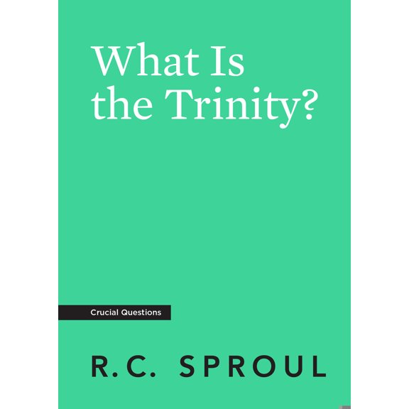 Pre-Owned What Is the Trinity? (Paperback) 1642890456 9781642890457
