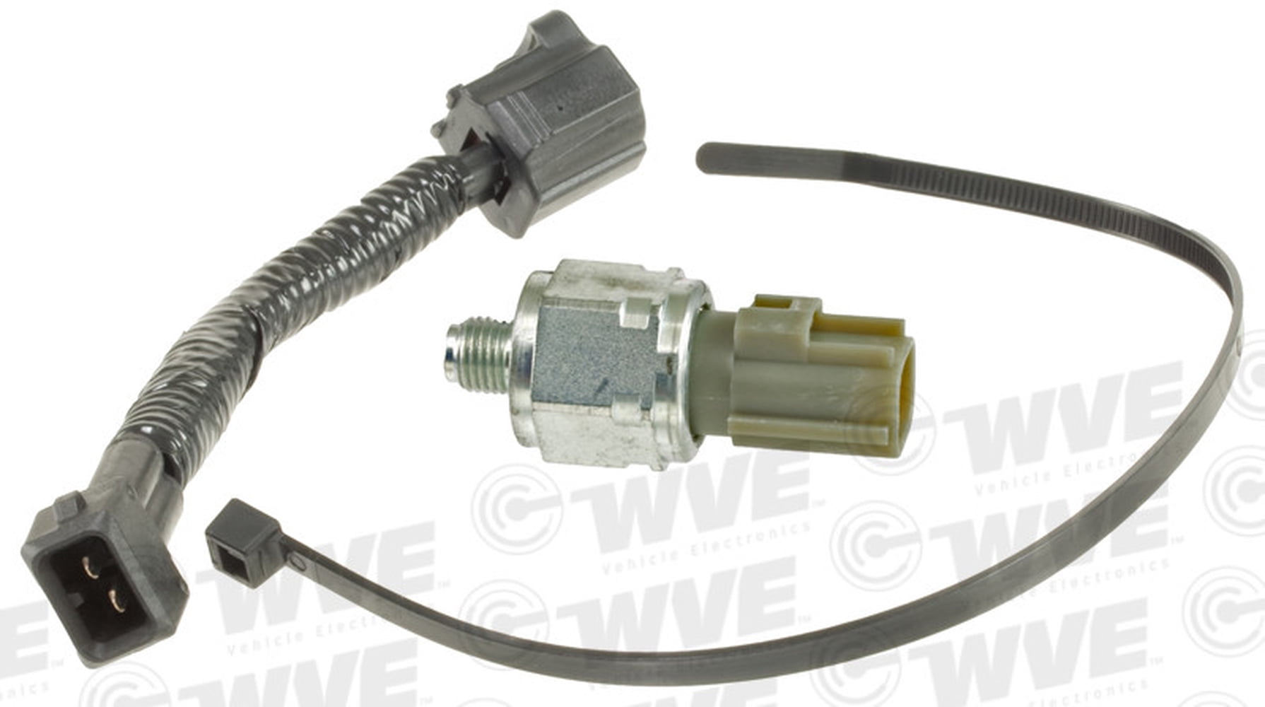 Cruise Control Release Switch