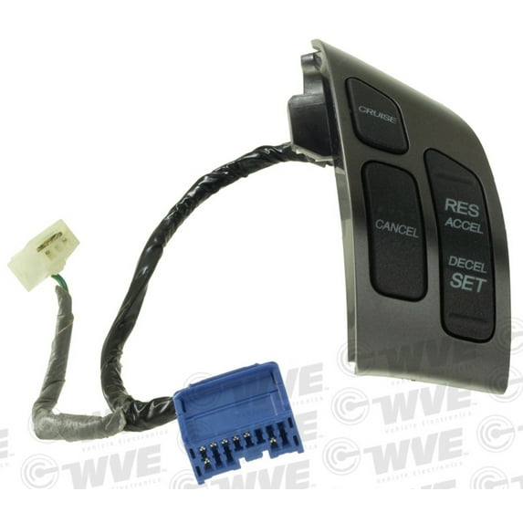 Cruise Control Switch