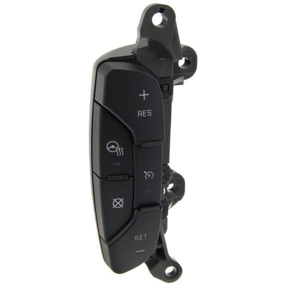Cruise Control Switch