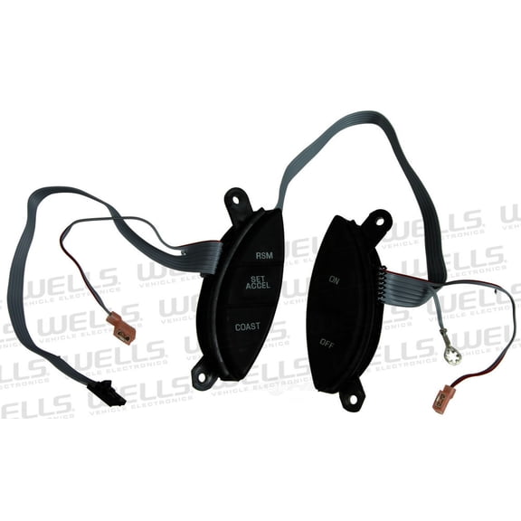 Cruise Control Switch