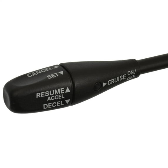Cruise Control Switch