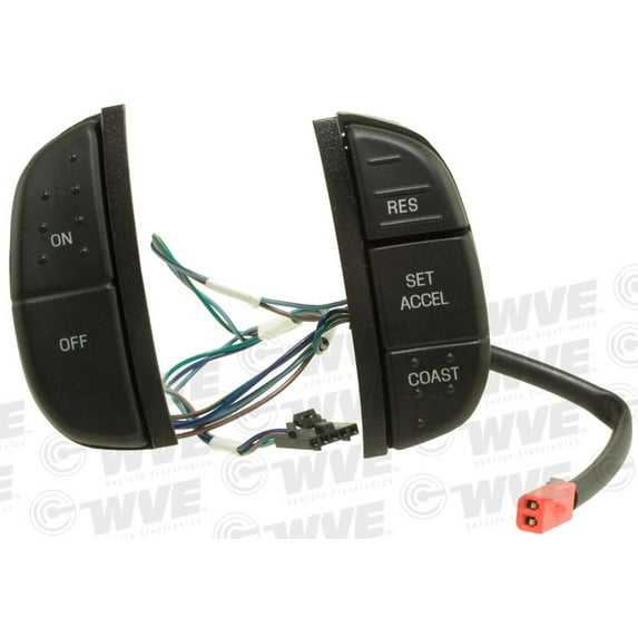 Cruise Control Switch